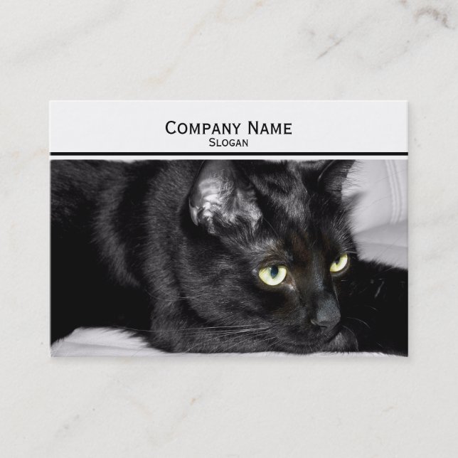 Carte De Visite Portrait de chat noir mignon (Devant)