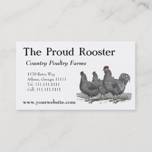 Carte De Visite Poulets de Plymouth Rock, coq