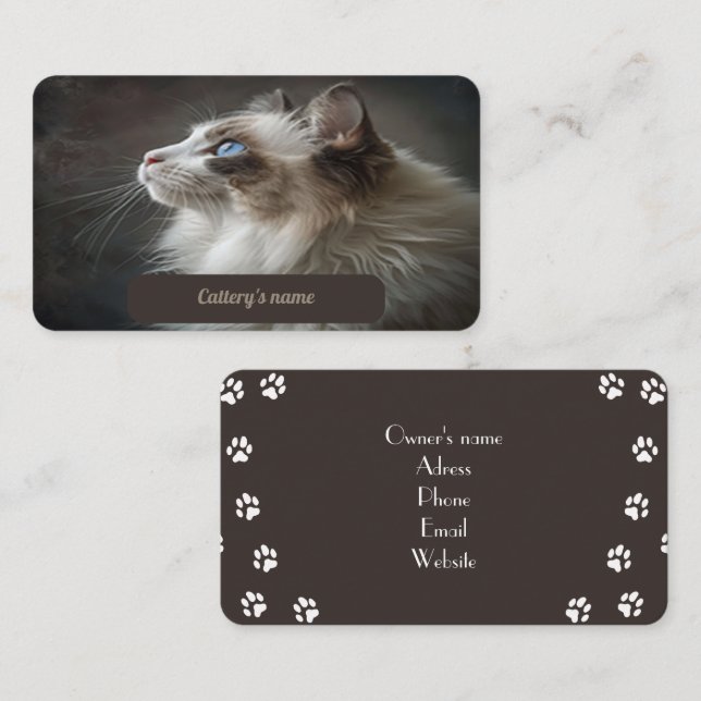 Carte de visite Pour Catalogue Ragdoll (Devant / Derrière)