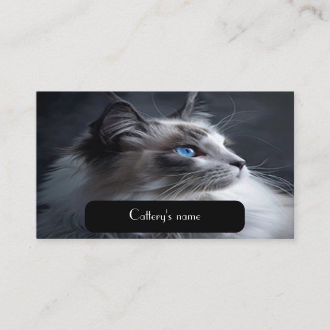 Carte de visite Pour Catteries Ragdoll Chat (Devant)
