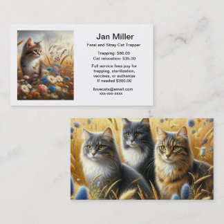 Carte de visite pour colonie de chats harets TNR