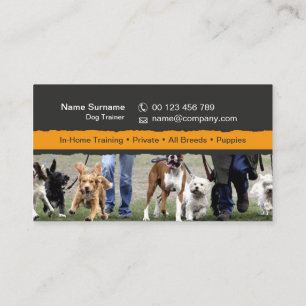 carte de visite pour dresseurs de chiens