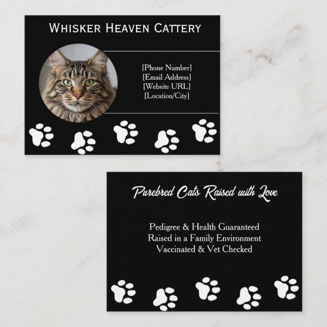 Carte de visite pour élevage de chats personnalisé (Devant / Derrière)