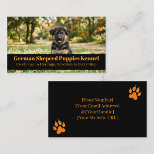 Carte de visite pour élevage de chiots Berger Alle