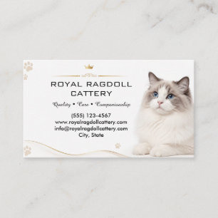 Carte de visite pour éleveur de chats Ragdoll de l