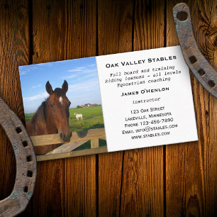 Carte de visite pour leçons d'équitation en écurie