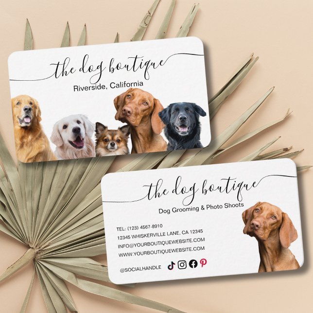 Carte de visite pour toilettage de chiens  (Dog grooming business card)