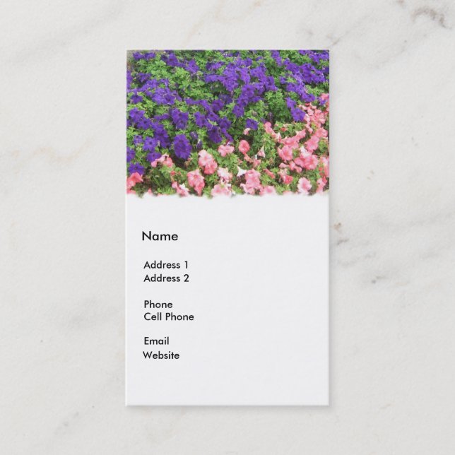 Carte De Visite pourpre et rose (Devant)