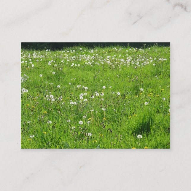 Carte De Visite Prairie de pissenlits 02 (Devant)