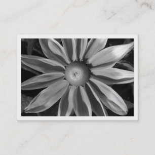 Carte De Visite Prairie Sun Rudbekia, mini photo