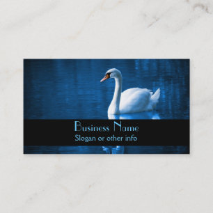 Carte De Visite Pretty white swan floating on blue lake