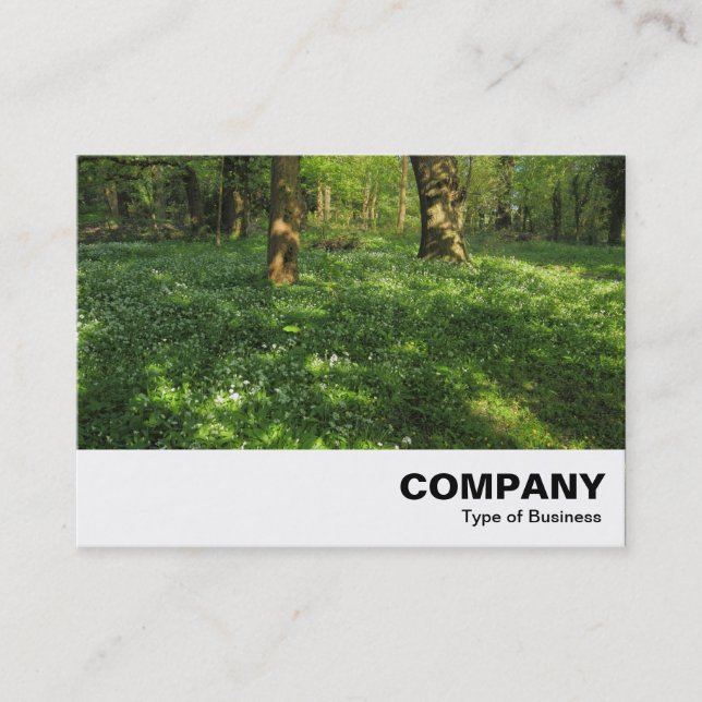 Carte De Visite Printemps dans les bois (Devant)