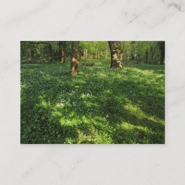 Carte De Visite Printemps dans les bois (Devant)