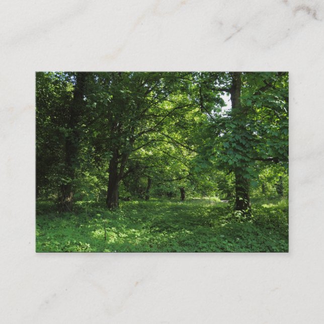 Carte De Visite Printemps dans les bois 01 (Devant)