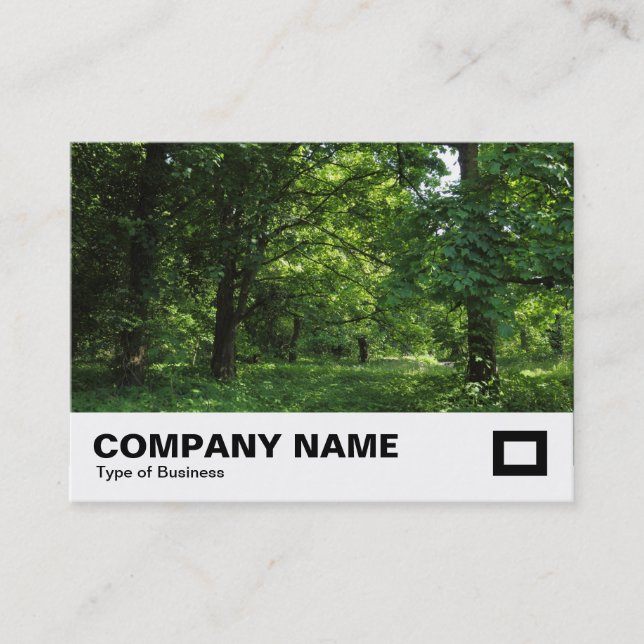 Carte De Visite Printemps dans les bois 01 (Devant)
