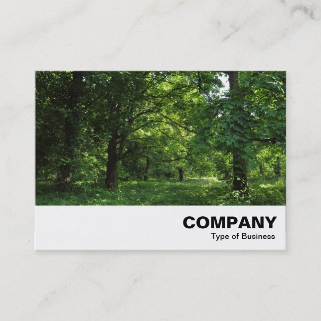 Carte De Visite Printemps dans les bois 01 (Devant)