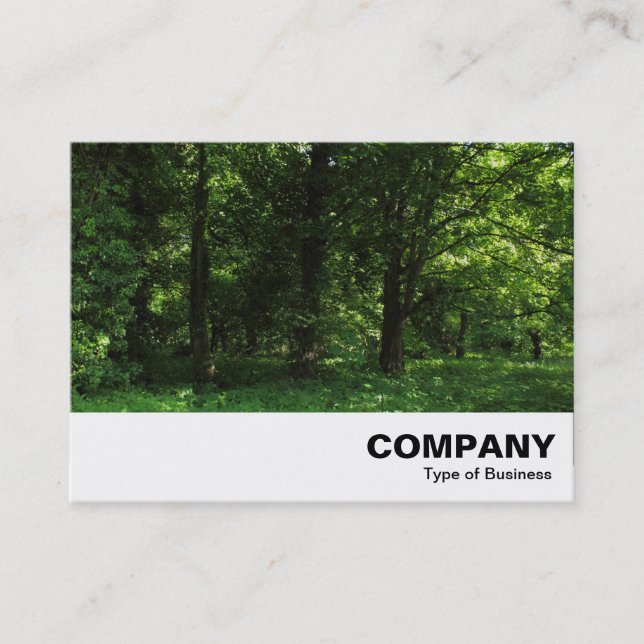 Carte De Visite Printemps dans les bois 02 (Devant)