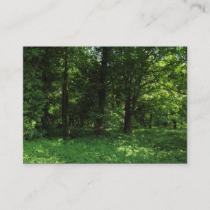 Carte De Visite Printemps dans les bois 02