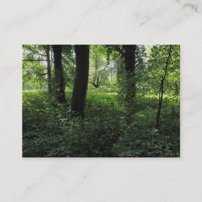 Carte De Visite Printemps dans les bois 04 (Devant)
