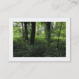 Carte De Visite Printemps dans les bois 04 (frontière)