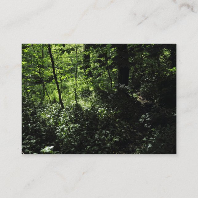 Carte De Visite Printemps dans les bois 05 (Devant)