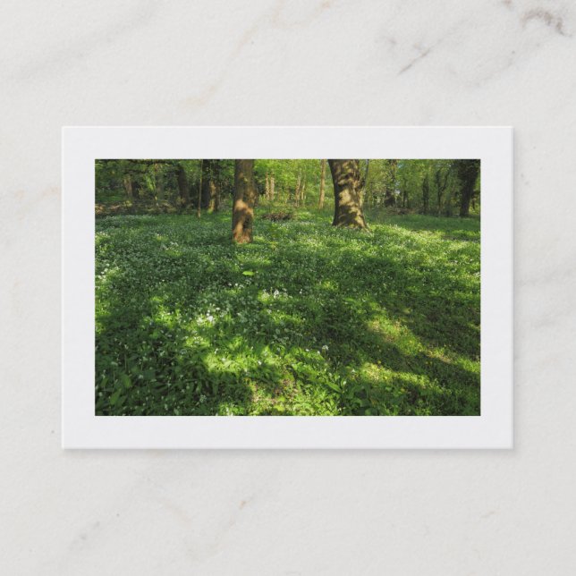 Carte De Visite Printemps dans les bois (bordé) (Devant)