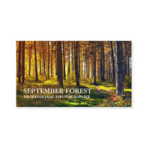 Pro Photography (Forêt)