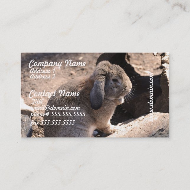 Carte De Visite Produit de personnaliser (Devant)