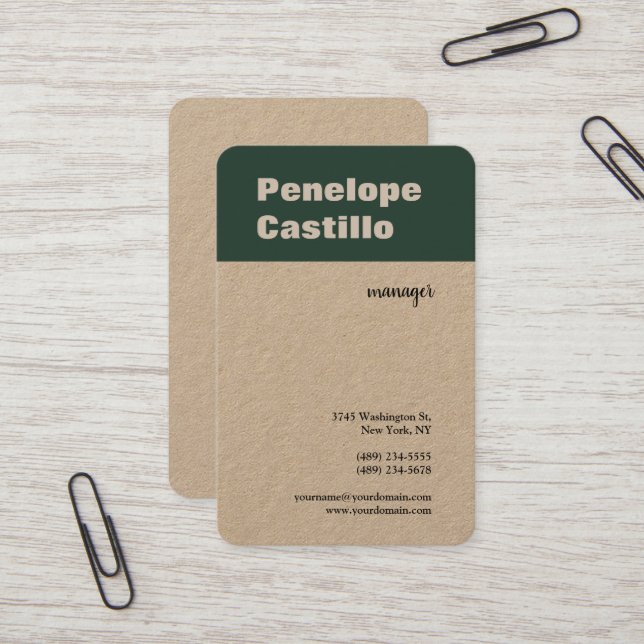 Carte De Visite Professionnel Moderne Simple Design (Devant/Arrière en situation)