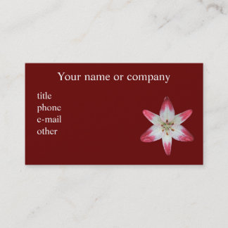 Carte de visite professionnelle de visite