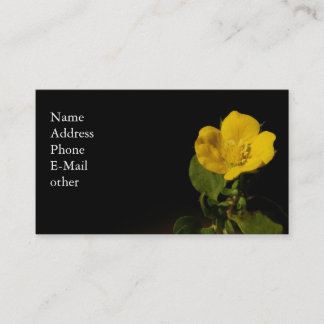 Carte de visite professionnelle de visite de ~ de