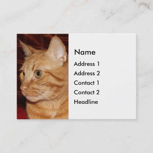 Carte De Visite Profil de visage de chat Tabou orange (Devant)