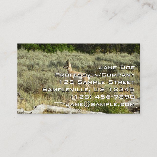 Carte De Visite Pronghorn au Parc national de Grand Teton (Devant)