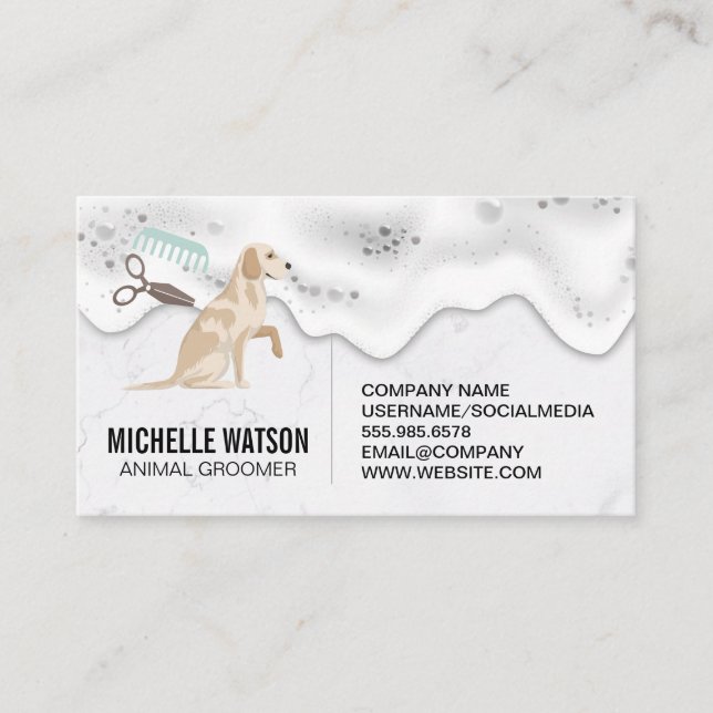 Carte De Visite Protection des animaux | Sondes de lavage de chien (Devant)