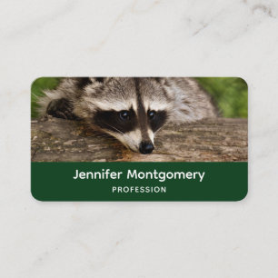 Carte De Visite Raccoon mignon reposant sur un journal