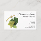 Raisins de vin blanc sur la vigne, fruits alimenta