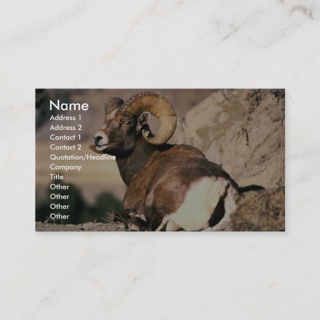 Carte De Visite RAM de Bighorn (Devant)