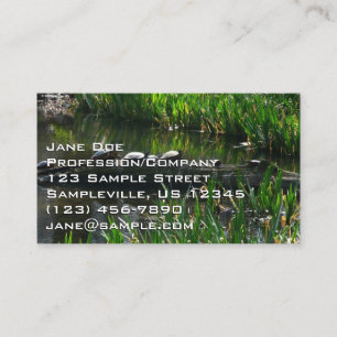 Carte De Visite Rangée de tortues Green Nature Photo