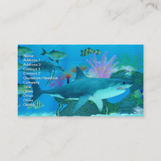 Carte De Visite récif marin de requins