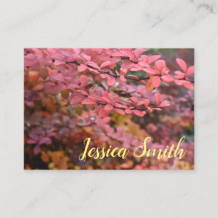 Carte De Visite Red Autumn Leaves Nature Fall Foliage Photographie