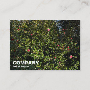 Carte De Visite Red Camellia Bush