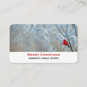 Carte De Visite Red Cardinal dans Winter Nature Photo de Christmas