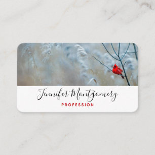 Carte De Visite Red Cardinal dans Winter Nature Photo de Christmas