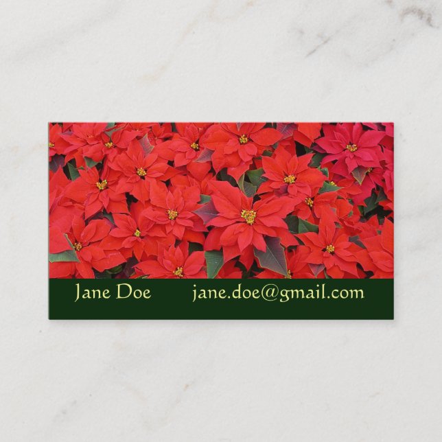 Carte De Visite Red Poinsettias I Christmas Holiday Floral Photo (Devant)