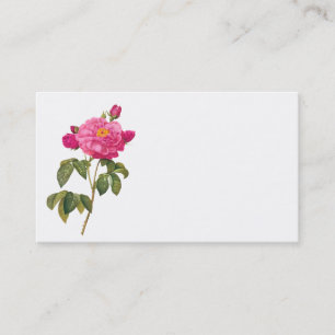 Carte de visite Redoute Rose Rose