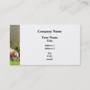 Carte De Visite Relaxation du chien - Finition Platine