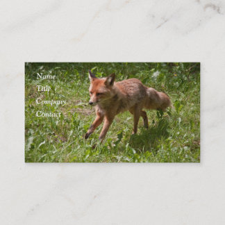 Carte De Visite Renard courant