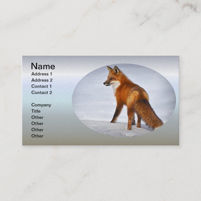 Carte De Visite Renard rouge en hiver (Devant)
