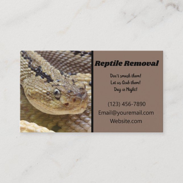 Carte De Visite Retrait de reptiles (Devant)