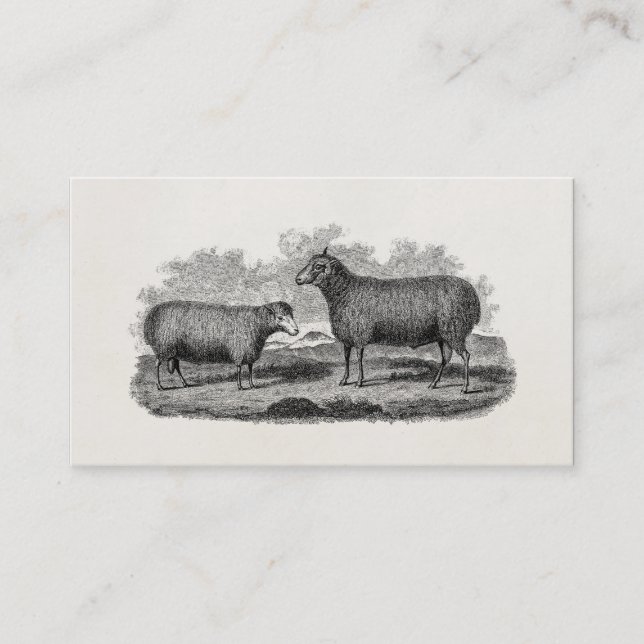 Carte De Visite Rétro ferme de 1800s de moutons d'illustration (Devant)